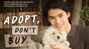 Booboo Stewart Stars in New 'Adopt, Don't Buy' PETA Ad