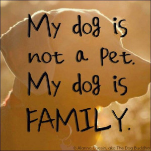 is familyFamilies Quotes, Dogs Quotes, Puppies, Dogs Cat, My Families ...