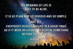 alan watts quote more memories tablet inspiration quotes truths alan ...