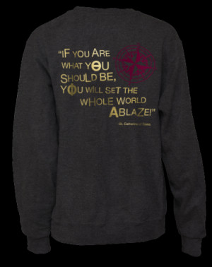 11464_theta-phi-alpha-compass-crewneck-back