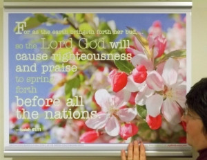 Lord God Will Cause Righteouness And Praise To Spring Forth Before All ...