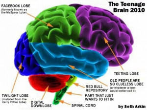 ... this week about brain development among young adults in this article