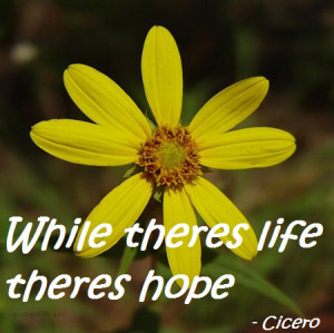 While There Life Hope...