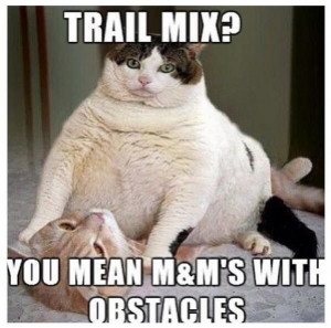 funny fat cat trail mix you mean m m s with obstacles