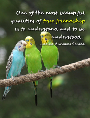 Bible Verses on Friendship