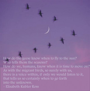 life has purpose There are no mistakes no coincidences all events