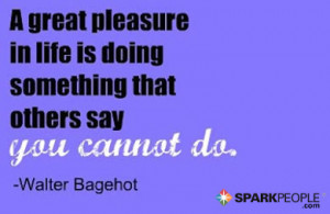 Motivational Quote - A great pleasure in life is doing something that ...