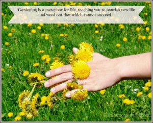 Gardening is a metaphor for life, teaching you to nourish new life and ...