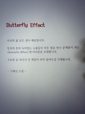 Butterfly Effect Chaos Theory Quote Sun- 'butterfly effect'