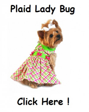 Plaid with Ladybug Designer Dresses for Dogs - Doggie Design Dog ...