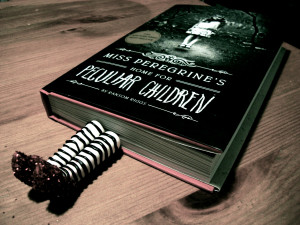 ps. The amazing amazing amazing ruby slipper bookmark was handmade ...