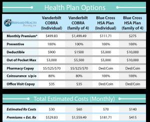 Cobra Health Insurance
