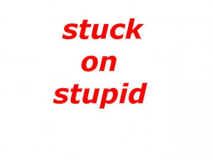 stuck on stupid | Flickr - Photo Sharing!