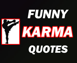 we reap here are some hilarious funny quotes about karma