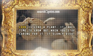 Love is like a plant, it takes time to grow but when you stop caring ...