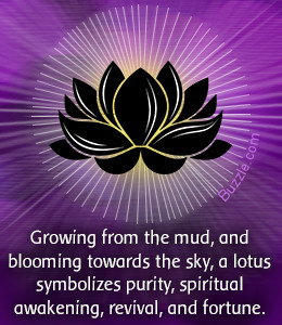 What does a Lotus Flower Tattoo Symbolize?