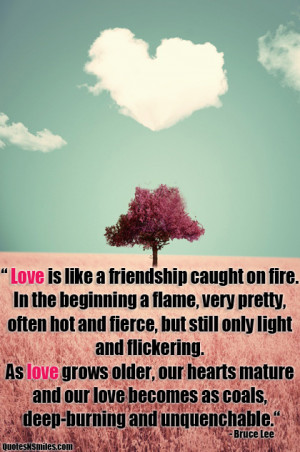 Images) 18 Powerful Bruce Lee Picture Quotes