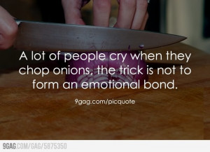 emotional bondFood Quotes, Emotional Bond, Funny Stuff, Funny Quotes ...