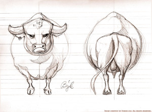 sketched bull