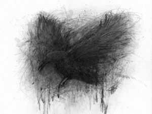 drawing death art animals quotes birds horror black monochrome bird ...