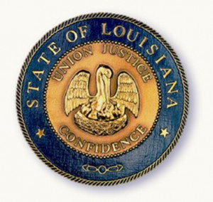 Louisiana's State Bird - The Pelican