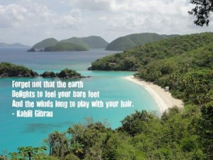 Beautiful quote and beautiful Island (St. John).