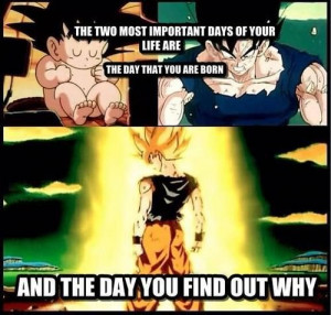 DBZ The most epic day of your life is when you go sort saiyan for the ...