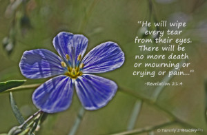 Hungry for Christ… Is it a sin to overeat?