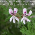 ... Swaps Journal, Scrapbooking, or Seed Swap Quotes About Weeds Bonding
