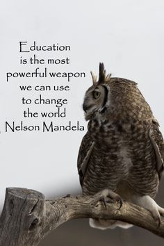 powerful weapon we can use to change the world.