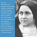 saint therese of lisieux the little flower album dedicated to saint ...