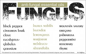 Anti-fungal oils