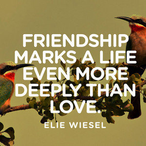 quotes-friendship-life-elie-wiesel-480x480.jpg