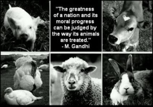 Please - Be A Voice For The Voiceless!