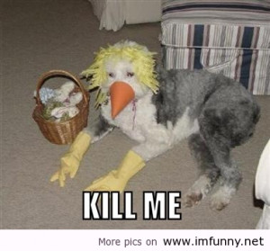 Kill me please / Funny Pictures, Funny Quotes – Photos, Quotes, I...