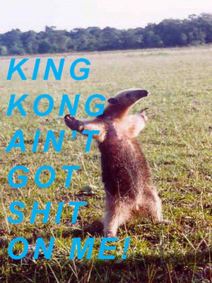 http://www.pics22.com/king-kong-aint-got-shit-on-me-animal-quote/