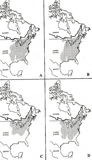 Freezing Cold Funny Quotes This means that freeze