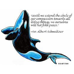 orca_killer_whale_art_quote_oval_decal.jpg?height=250&width=250 ...