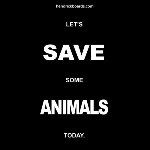 Famous-Quotes-about-Love-in-German-44