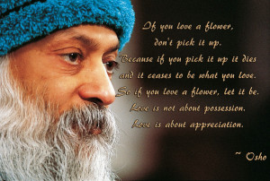 What is Love? Quotes by Osho