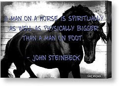 Horse Inspirational Quotes Canvas Prints - The Spirit of the Horse ...