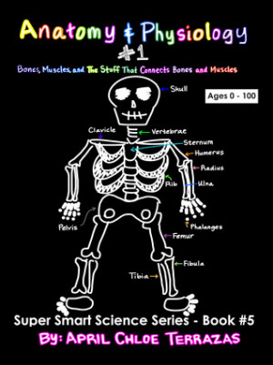 ... Part 1: Bones, Muscles, and the Stuff That Connects Bones and Muscles