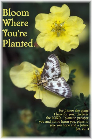 Note: Due to a very busy schedule and early morning chaplain ...