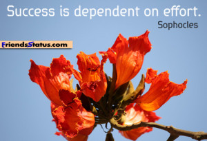 success quotes for students images