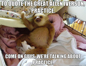 Funny Sloth Quotes