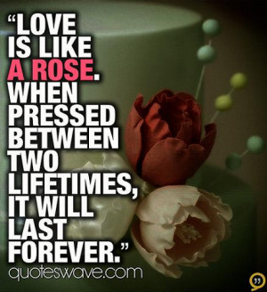 Love is like a rose. When pressed between two lifetimes, it will last ...