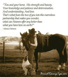 You And Your Horse. His Strength And Beauty - Animal Quote