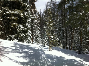View from Hallelujah Hut on the Englemen snowshoe trail. - Picture of ...