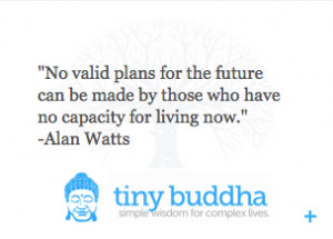 Introducing: The Tiny Buddha Quote Widget