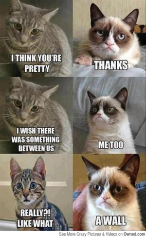 Grumpy Cat Meme Star Wars
